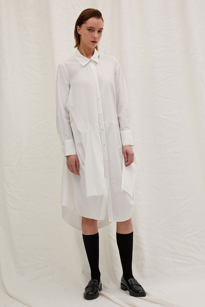 Copy of Asymmetric Shirt Dress