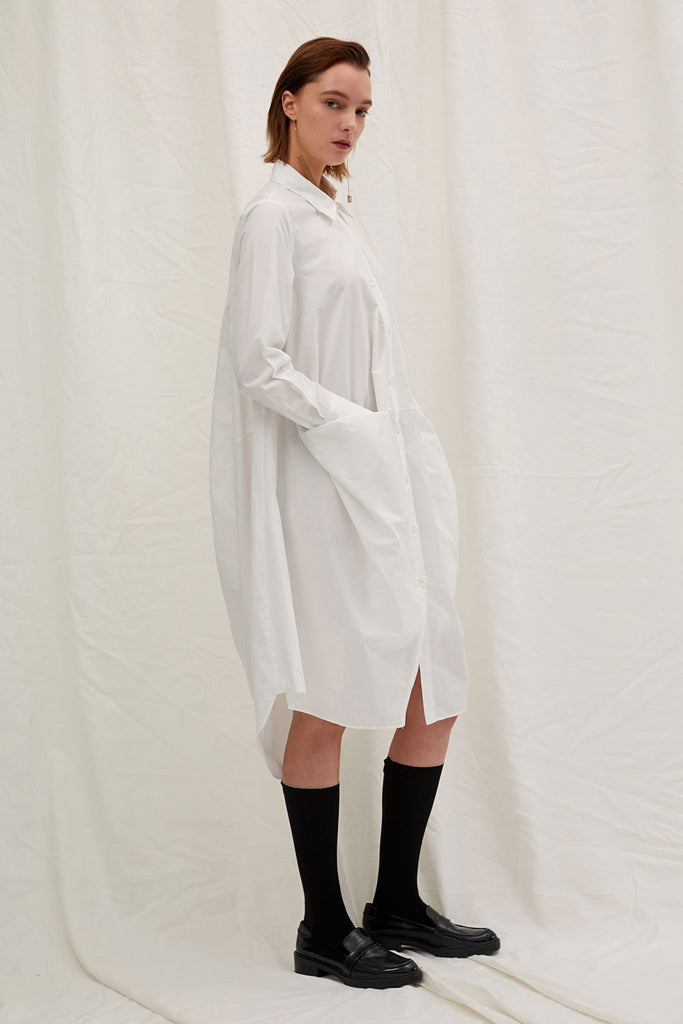 Copy of Asymmetric Shirt Dress